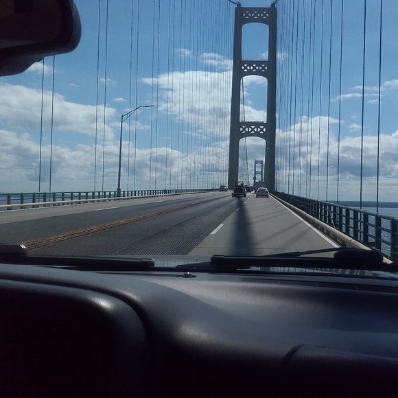 Meet the posher Coley - Picture 6 of 6